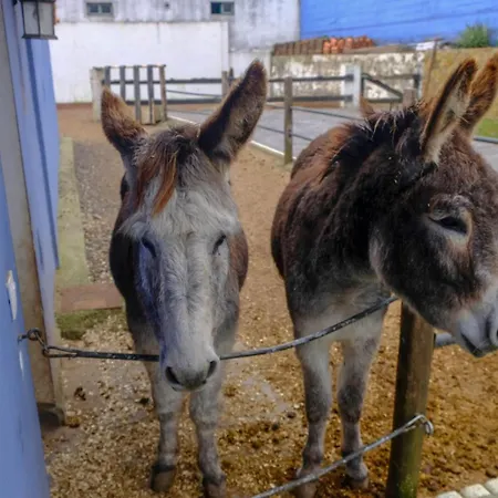 Casa Antigua Vakantiehuis La Esperanza (Tenerife)