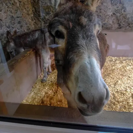 Casa Antigua Ла-Эсперанса