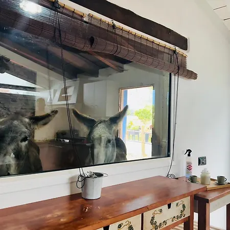 Casa Antigua Дом отдыха *