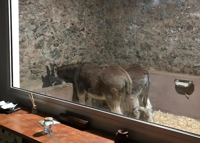 Casa Antigua Сasa de vacaciones La Esperanza (Tenerife)