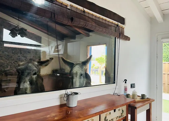 Casa Antigua Сasa de vacaciones *