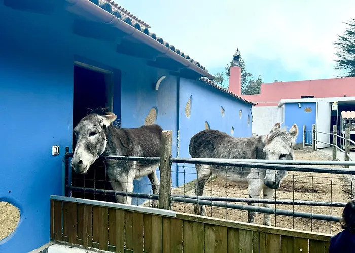 Сasa de vacaciones Casa Antigua La Esperanza (Tenerife)