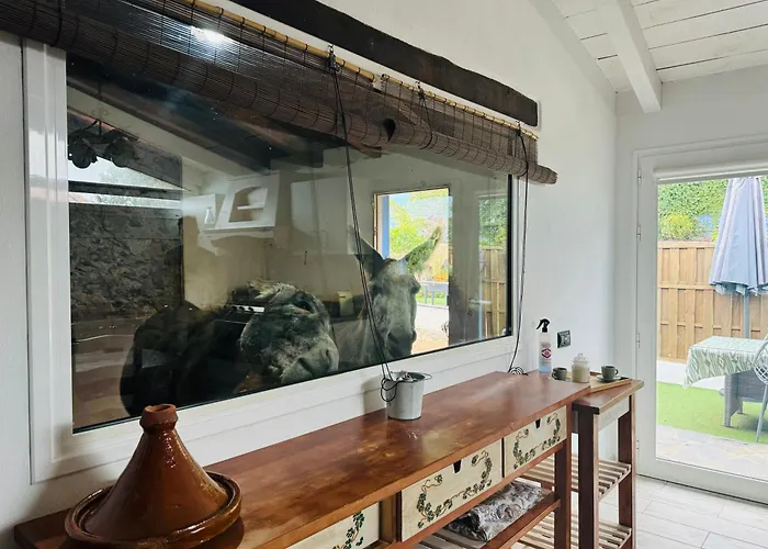 Casa Antigua La Esperanza (Tenerife)