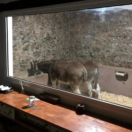 Casa Antigua Сasa de vacaciones La Esperanza (Tenerife)