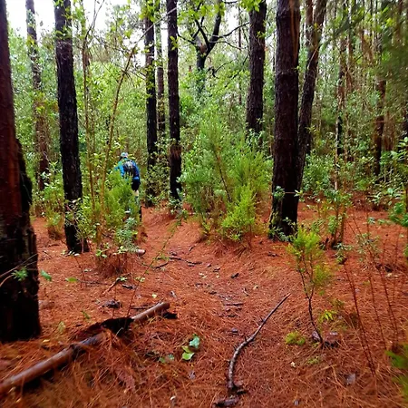 Feriehus Casa Antigua