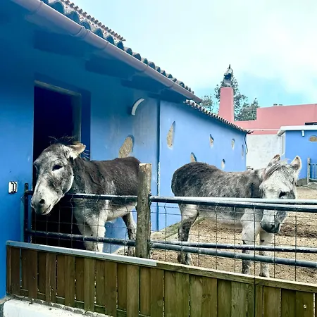 Feriehus Casa Antigua La Esperanza (Tenerife)