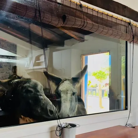 Casa Antigua Feriehus