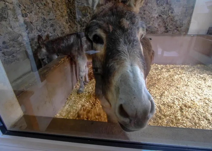 Casa Antigua La Esperanza (Tenerife)