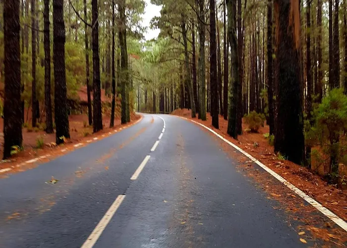 Casa Antigua Semesterbostad *