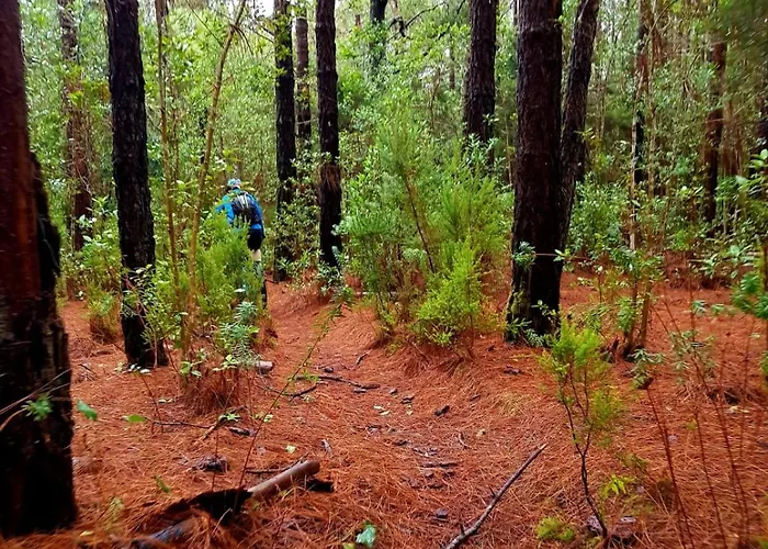 Semesterbostad Casa Antigua