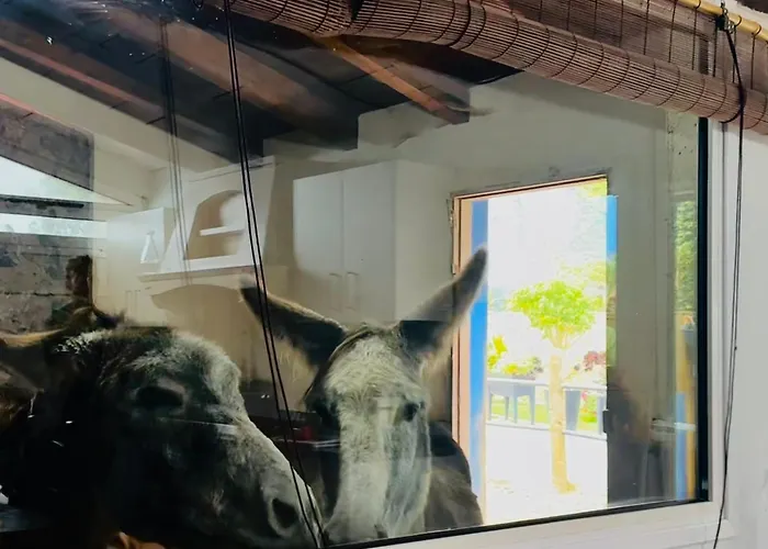 Casa Antigua Dom wakacyjny